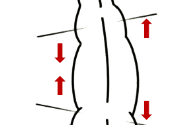Lengtebuiging