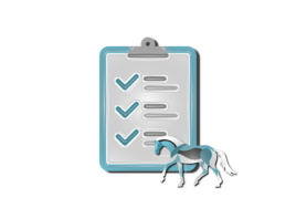 Stappenplan Paard