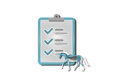 Stappenplan Paard